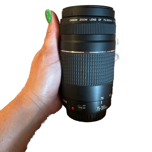 Canon 300 4 5 - 75-300, mm