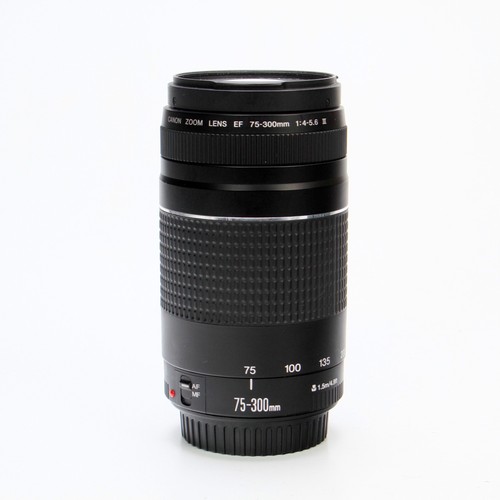 Canon 300 4 5 6 - ef, iii