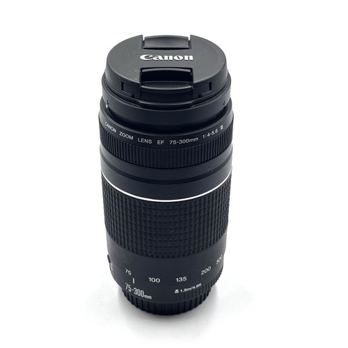 Obiettivo zoom canon - zoom,