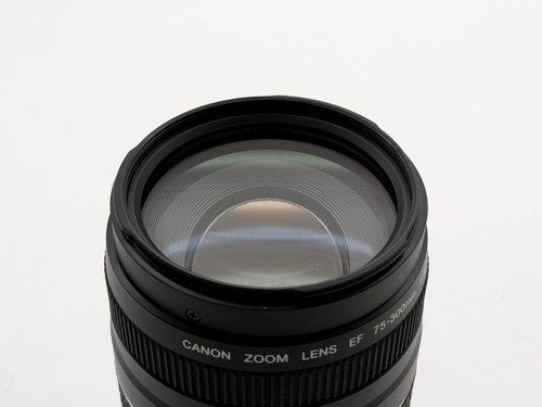 Canon obiettivo zoom 300 - canon,