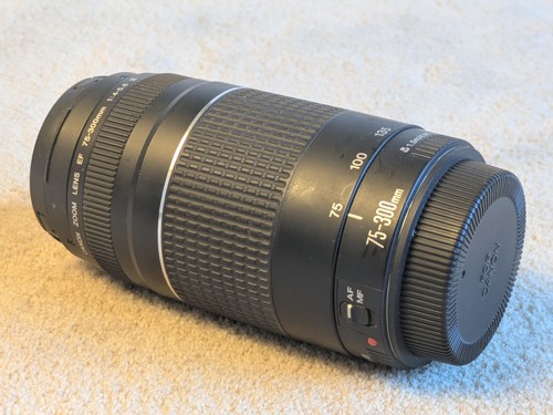 Canon 300 4 - canon, f/4-5.6