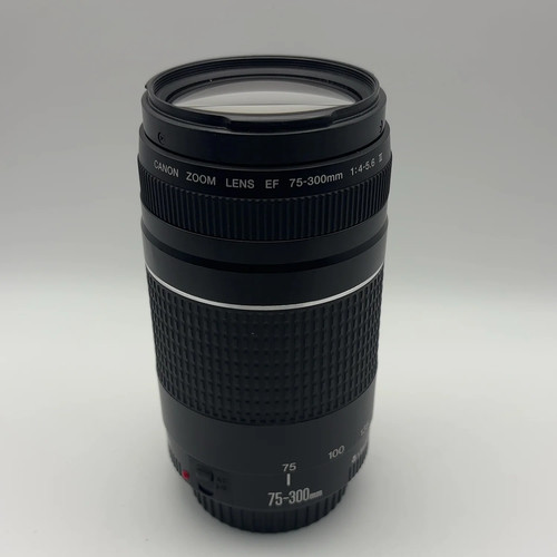 Canon tele zoom 300 - canon, 75-300