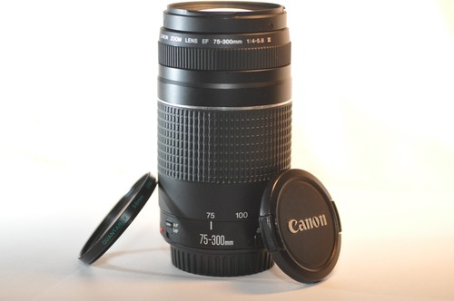 Canon 300mm 5 6 - canon, f/4-5.6
