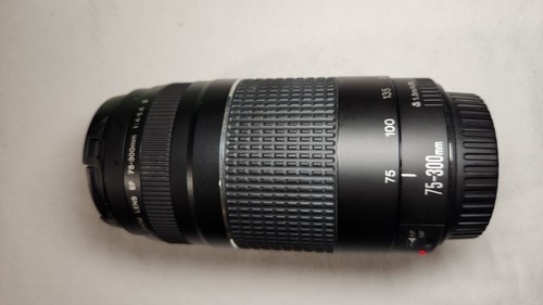 Canon 300 4 5 6 - canon, mm