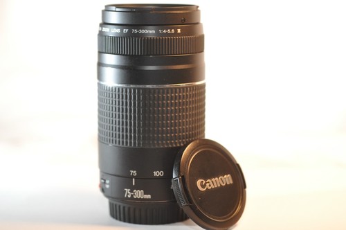 Obiettivo canon 300mm - canon, 75-300mm