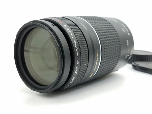 Canon 300 4 5 - mm, f/4-5.6
