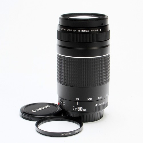 Canon 300 4 5 6 - 75-300, f/4-5.6