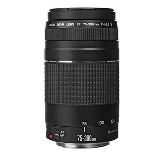 Canon 300 4 5 - ef, 75-300