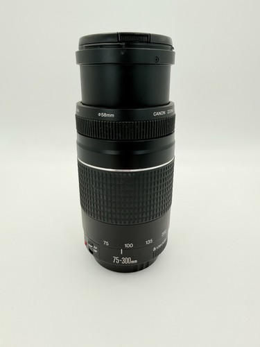 Canon 300 4 5 - f/4-5.6, iii
