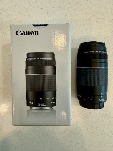 Canon 300 4 - canon, ef