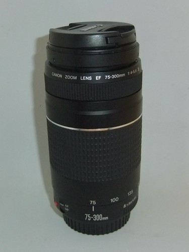 Canon 300 4 - 75-300, f/4-5.6