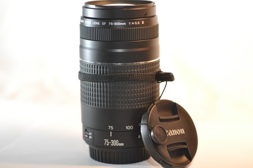 Canon 300mm 5 6 iii - ef,