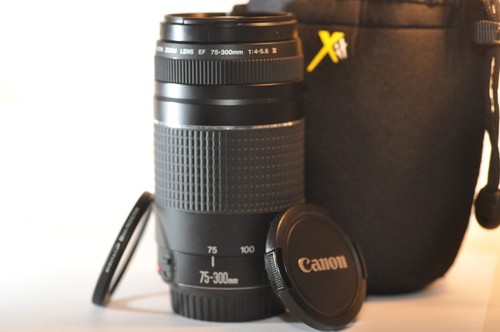 Obiettivo canon 300mm - obiettivo, 75-300mm