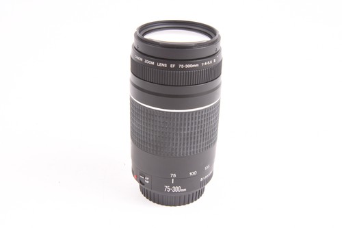 Canon 300 4 5 - ef, iii