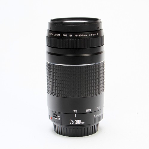 Canon 300 4 - canon, iii
