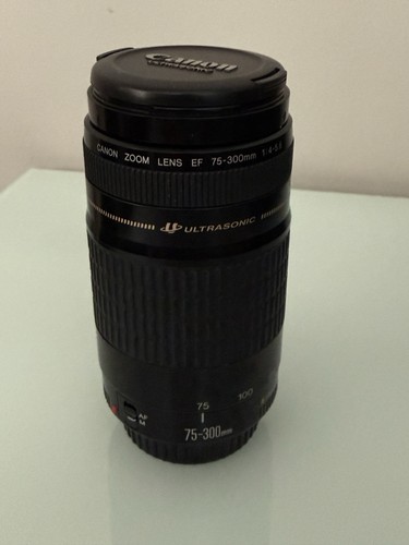 Canon 300 4 5 6 - canon, mm