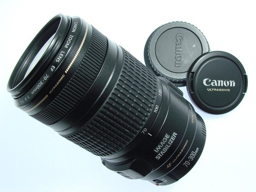 Canon 300mm 6 ef - 70-300mm, f/4-5.6