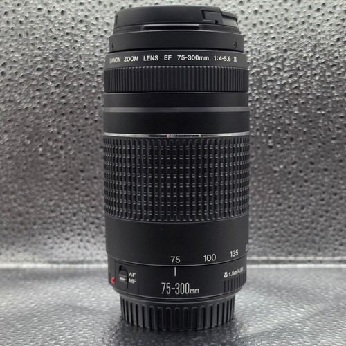 Canon 300 4 5 6 - canon, ef