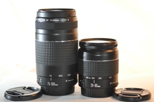 Set obiettivi canon ef - 2,