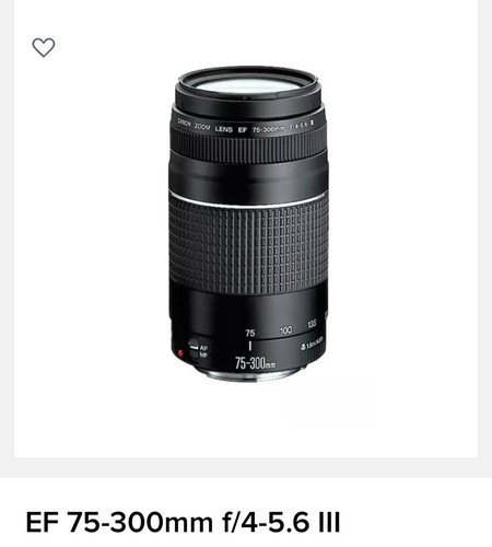Canon 300mm 4 5 - ef, 75-300mm