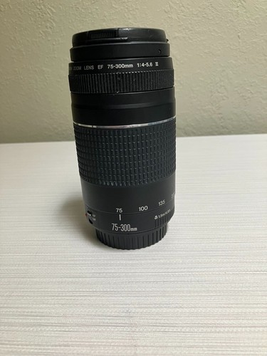 Canon 300mm 5 - 75-300mm, f/4-5.6