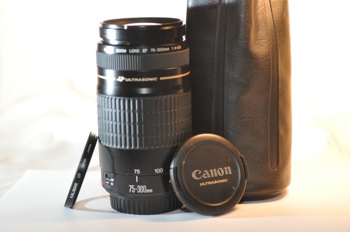 Canon 300mm 5 - ef, f/4-5.6