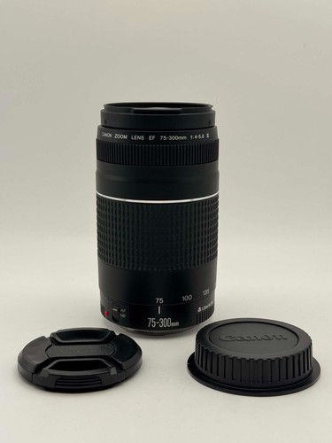 Canon ef - condizioni),