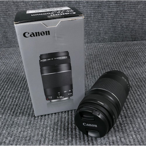 Canon 300mm 5 - 75-300mm, f/4-5.6