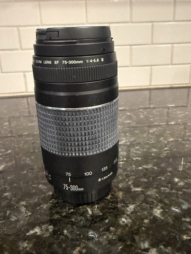 Obiettivo zoom canon - zoom, ef