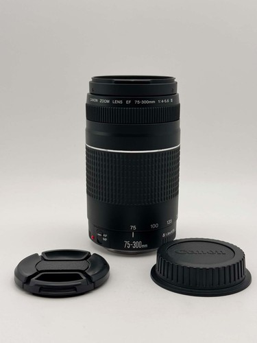 Canon ef - condizioni),