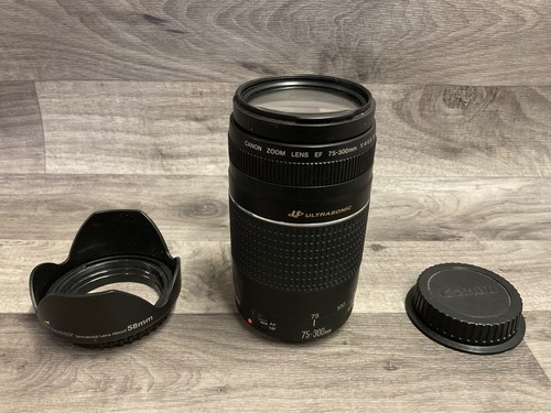 Canon 300 4 - ef, 75-300