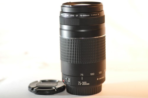 Obiettivo canon 300mm - obiettivo, 75-300mm