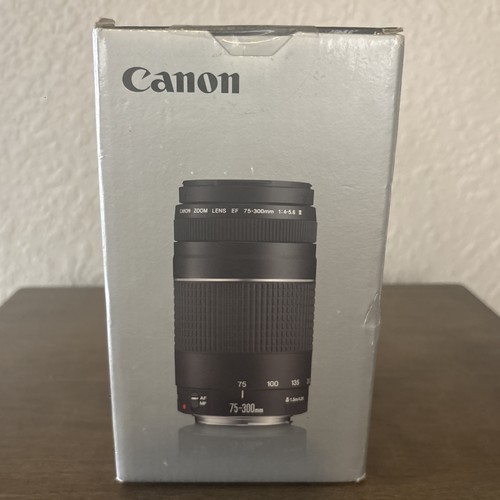 Canon 300mm 5 6 - f/4-5.6, iii