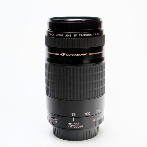 Canon 300 4 - canon, mm