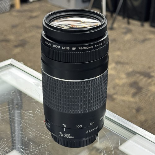 Canon 300 4 - 75-300, iii