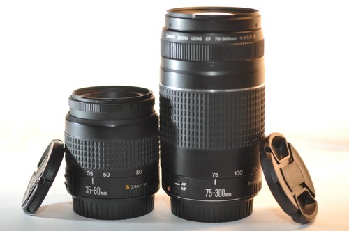 Set due obiettivi canon - canon, ef