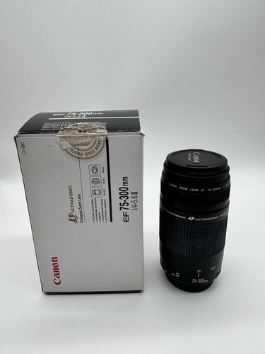 Canon 300mm ultrasonic - 75-300mm,