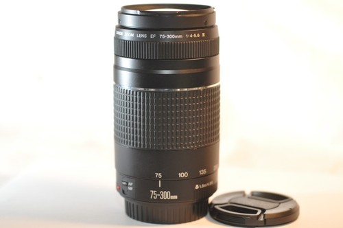 Obiettivo canon 300mm - ef, 75-300mm