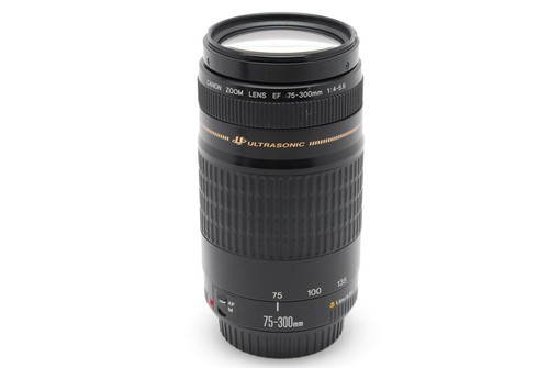 Top mint canon - 【top, ef