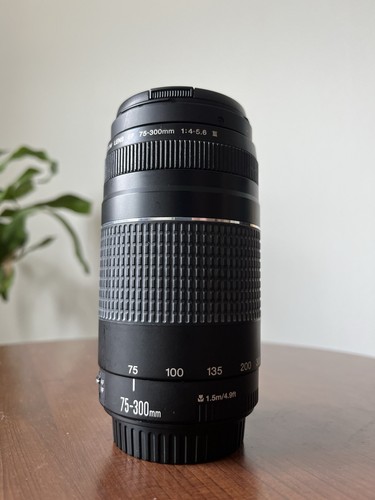 Canon zoom 300mm 4 - ef, 1:4-5.6