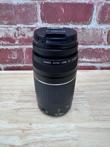 Canon 300 4 5 - 75-300, iii
