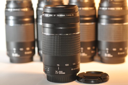 One canon 300mm 4 - canon, 75-300mm