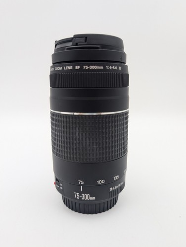 Canon 300 4 5 6 - mm, f/4-5.6
