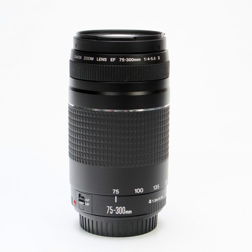 Canon 300 4 5 6 - 75-300, iii