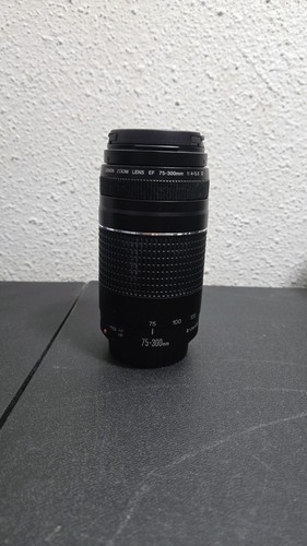 Canon 300 5 6 - mm, f4-5.6