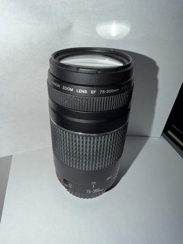 Canon 300 4 - 75-300, mm
